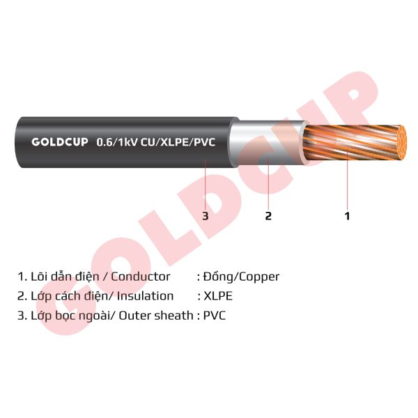 cap-cxv-1x-goldcup